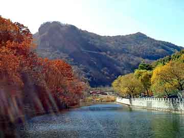 新澳天天开奖资料大全旅游团，岳西seo建站